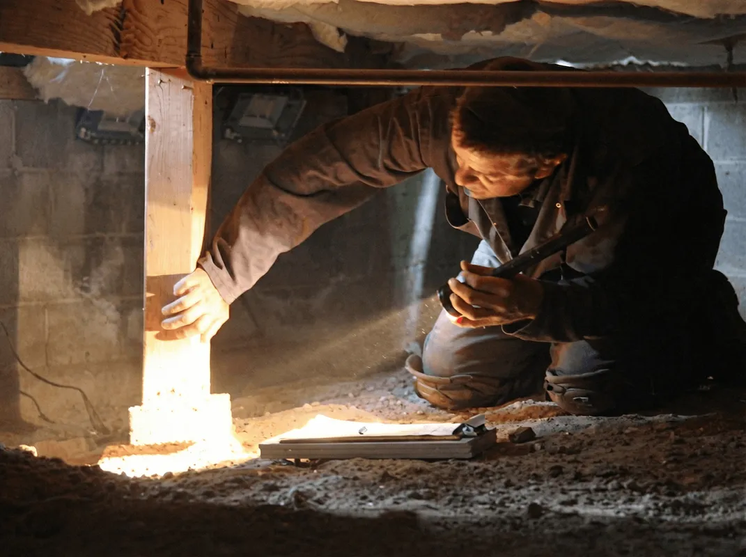 A professional inspecting wooden beams under the floor of a structure in ,